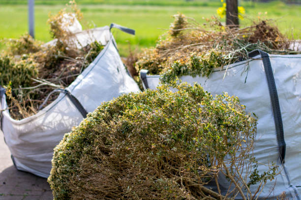 Best Recycling Services for Junk  in Brook Highland, AL
